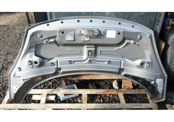 Капот Renault Scenic III, 651000036R